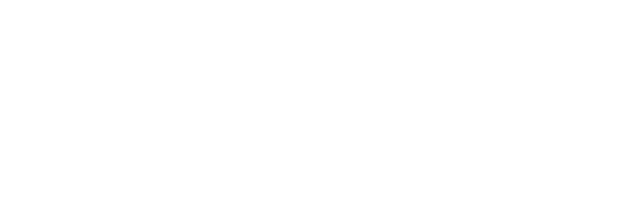 Logo_blanco_Solunion